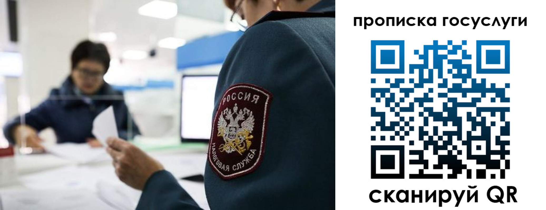 регистрация для школы в Торопеце